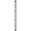 Fita LED Direta 2835 7W/M IP65 PVC 9,5mm 127V 4.100K - 50m