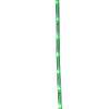 Mangueira LED 2,5W/m IP65 Luz Decorativa Verde 220V - 100m